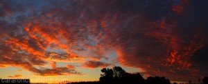 Panorama July 9 2014 2a web