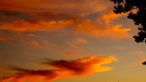 fire dragon cloud web