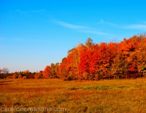 manitoulin colours 2 web