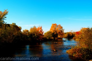 manitoulin colours oct 08 2011 (16 of 33) web