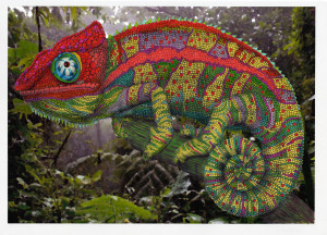 Chameleon and forest